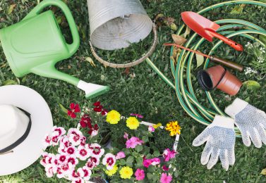 Drop irrigation in modern greenhouses